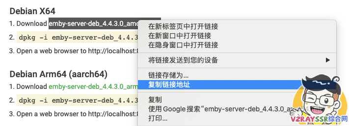 VPS挂载谷歌云盘,用Emby实现云盘媒体文件在线播放。免搜刮元数据,部署自带封面图。兼容全平台、全客户端