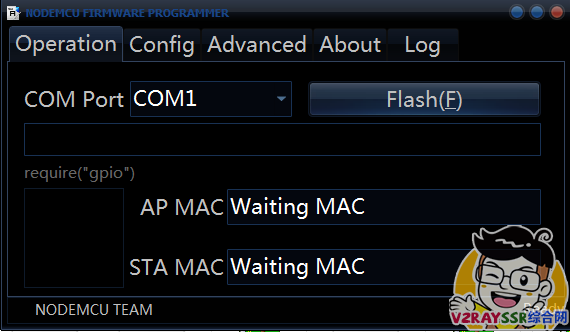 自制Awtrix2.0网红像素灯,配件选择、Server搭建、接线方式