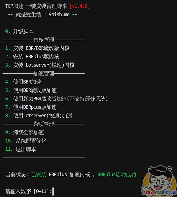 无敌的 Xray - Reality 协议！Vless + Reality协议 + Vision流控，是否能够摆平一切顾虑！