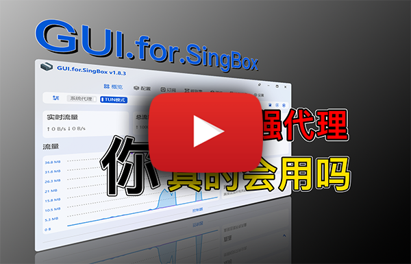 强大的代理工具!GUI.For.SingBox 的正确食用方式!SingBox 内核配置,规则详细讲解,保姆级教程!