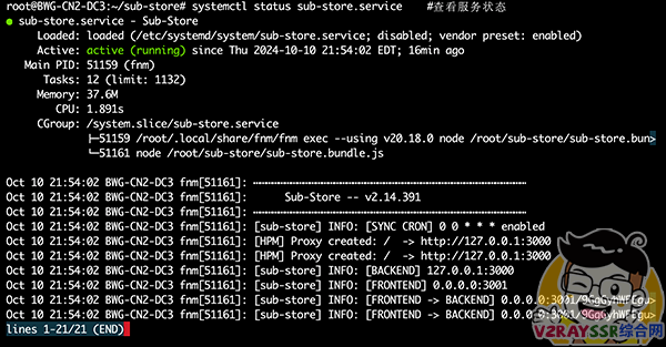 强大的节点管理工具:Sub-Store!多机场订阅、自建节点的节点整理工具!VPS、宝塔面板部署教程