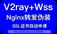 V2Ray基于Nginx的一键安装脚本，V2ray+Ws+TLs+Nginx、V2ray+H2+TLs+Nginx（H2/WS二合一选装脚本）