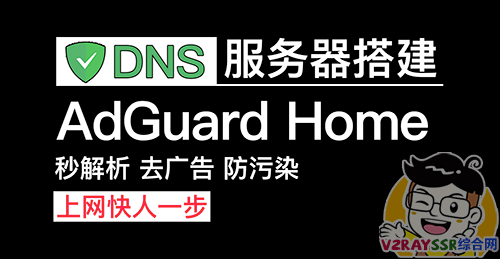 AdGuardHome – DNS服务器的安装以及设置。去广告、开源、防污染的DNS服务器教程，让你的网页秒开。