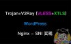 Trojan+V2ray(VLESS+Xtls)+WordPress,通过Nginx的SNI实现共用443端口（用户投稿）