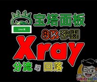 Xray和宝塔面板共存,安装WordPress博客让你的VPS发挥最大的用途——Xray强大的回落功能(第二篇)