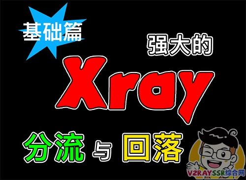 Xray强大的回落和分流功能你一定要知道!Xray手动搭建,VLESS+TCP+XTLS回落至Nginx——Xray强大的回落功能(第一篇)