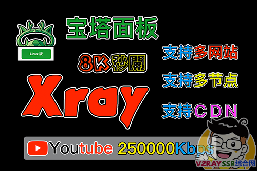 Xray可视化管理面板+宝塔面板最详细教程，支持多网站，多节点！Nginx反代实现 v2-ui 面板和网站共存（v2-ui 伪装网站）