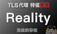 无敌的 Xray – Reality 协议!Vless + Reality协议 + Vision流控,是否能够摆平一切顾虑!