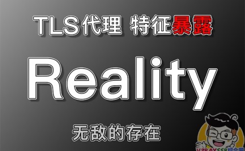 无敌的 Xray – Reality 协议!Vless + Reality协议 + Vision流控,是否能够摆平一切顾虑!