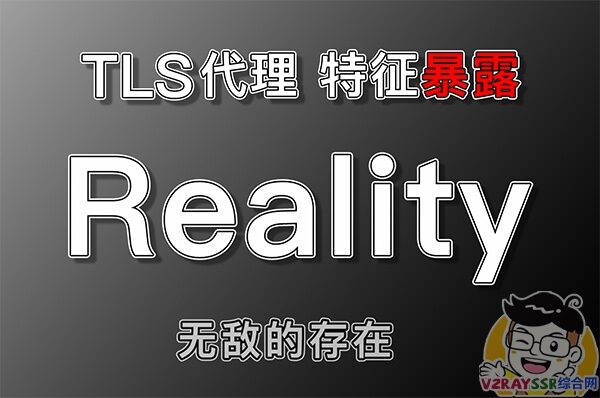 无敌的 Xray – Reality 协议！Vless + Reality协议 + Vision流控，是否能够摆平一切顾虑！