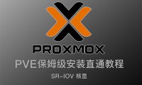 20250320已更新:最新保姆级PVE8安装教程!虚拟机PCIE设备及SR-IOV核显直通,最多分配7个虚拟化单独核显!最强虚拟机!