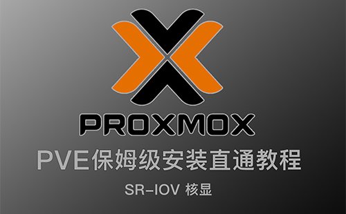 20250320已更新:最新保姆级PVE8安装教程!虚拟机PCIE设备及SR-IOV核显直通,最多分配7个虚拟化单独核显!最强虚拟机!
