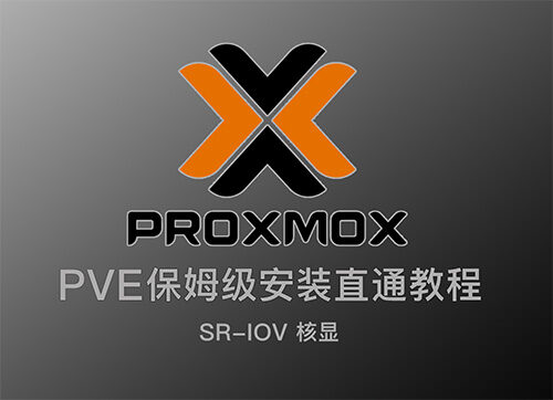20250320已更新：最新保姆级PVE8安装教程！虚拟机PCIE设备及SR-IOV核显直通，最多分配7个虚拟化单独核显！最强虚拟机！