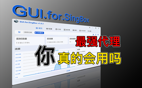 强大的代理工具!GUI.For.SingBox 的正确食用方式!SingBox 内核配置,规则详细讲解,保姆级教程!