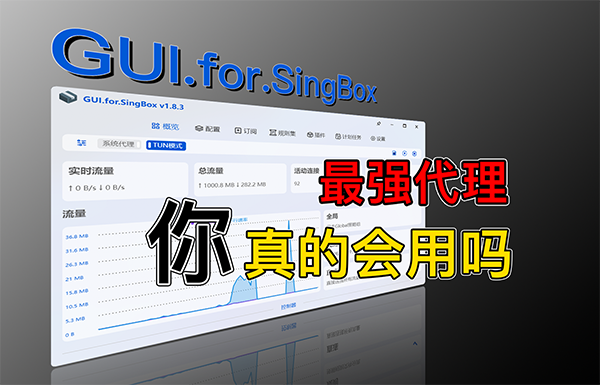 强大的代理工具!GUI.For.SingBox 的正确食用方式!SingBox 内核配置,规则详细讲解,保姆级教程!